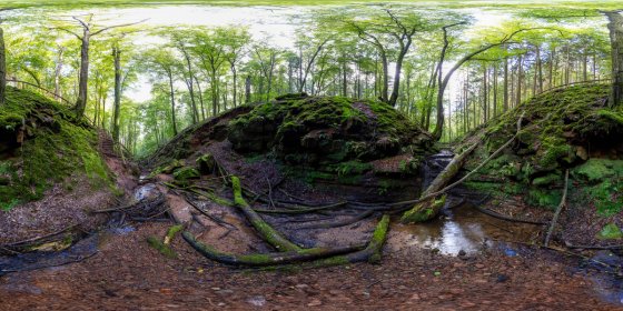 Play 'VR 360° - Pfälzer Bergland